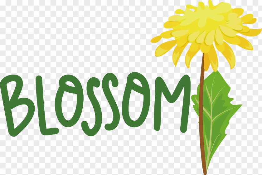Dandelions Plant Stem Flower Logo Cut Flowers PNG