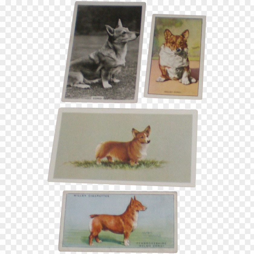 Dog Breed Picture Frames Tail PNG