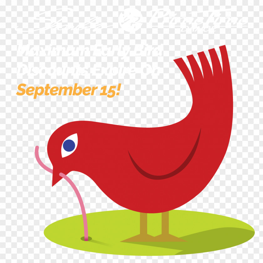 Early Bird Silly Vector Graphics Illustration Getty Images Worm PNG