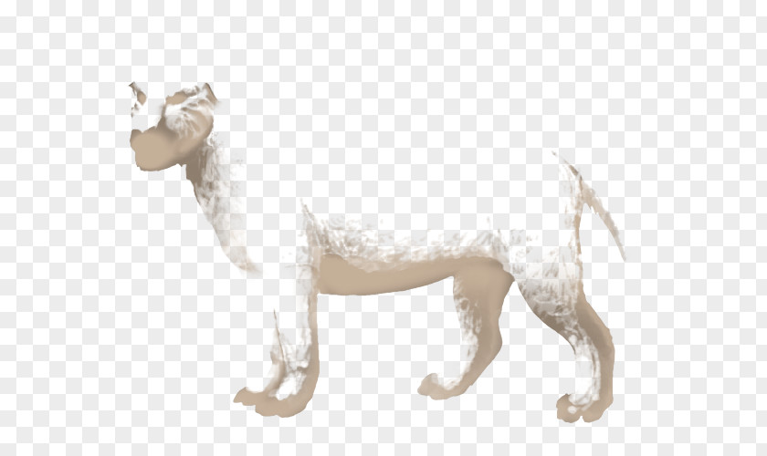 Lion White Dog Breed Cat PNG