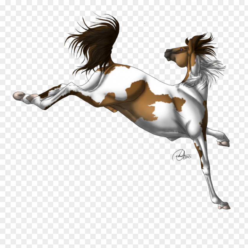 Mustang Mane Stallion Halter Pony PNG