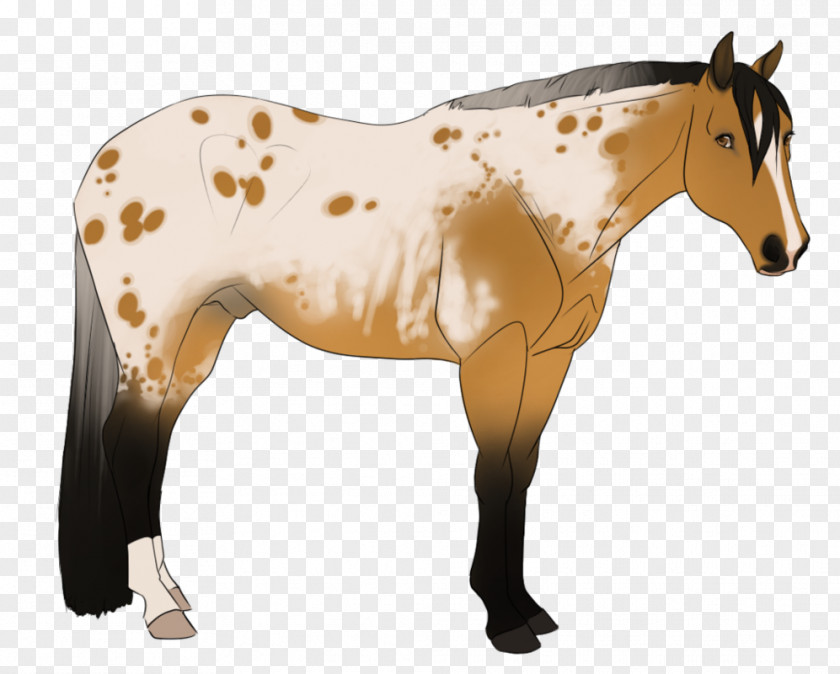 Polka Dot Pants Love Mustang Mane Mare Foal Stallion PNG
