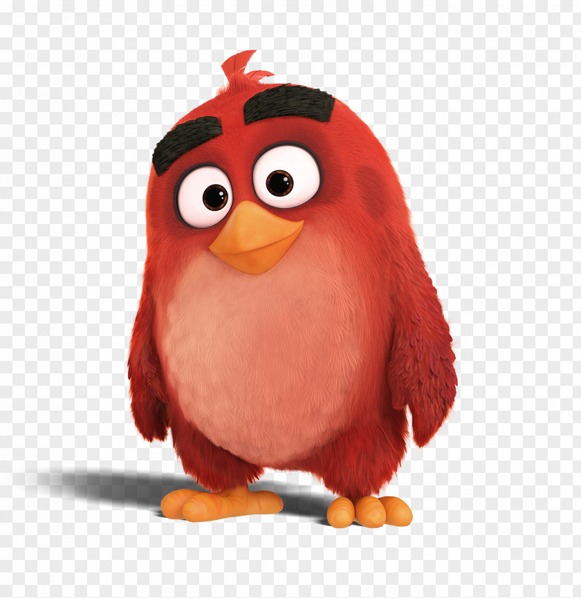 Diamon Angry Birds 2 Epic YouTube Canyon County Kids Expo PNG