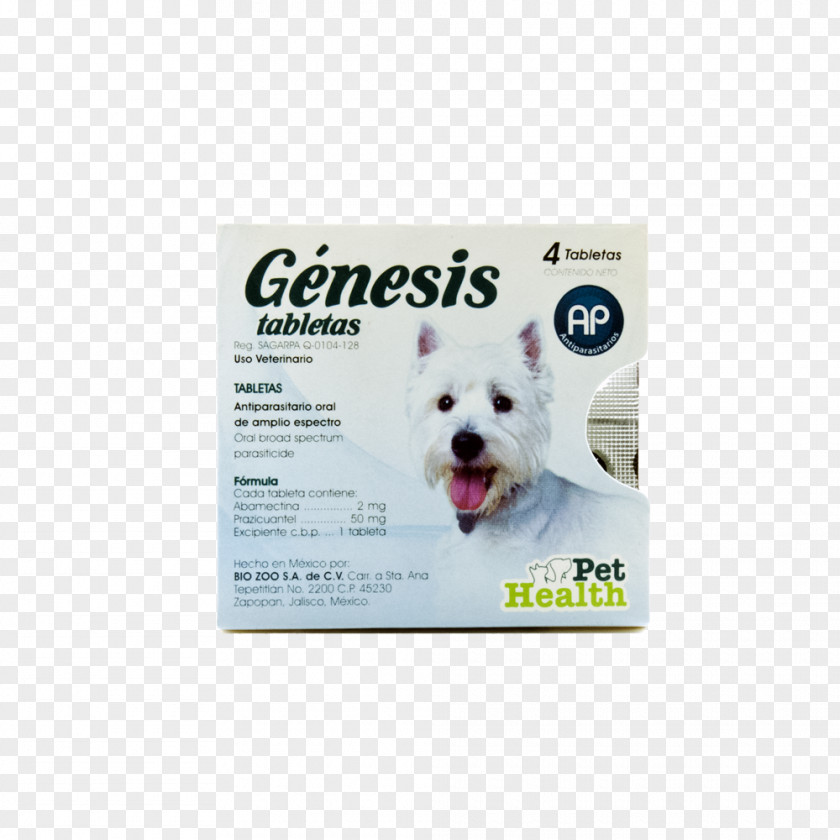 Dog Veterinary Medicine Anthelmintic Intravenous Therapy PNG