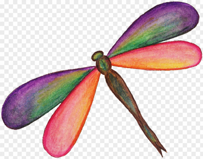 Dragonfly Display Resolution Desktop Wallpaper Twilight Sparkle PNG