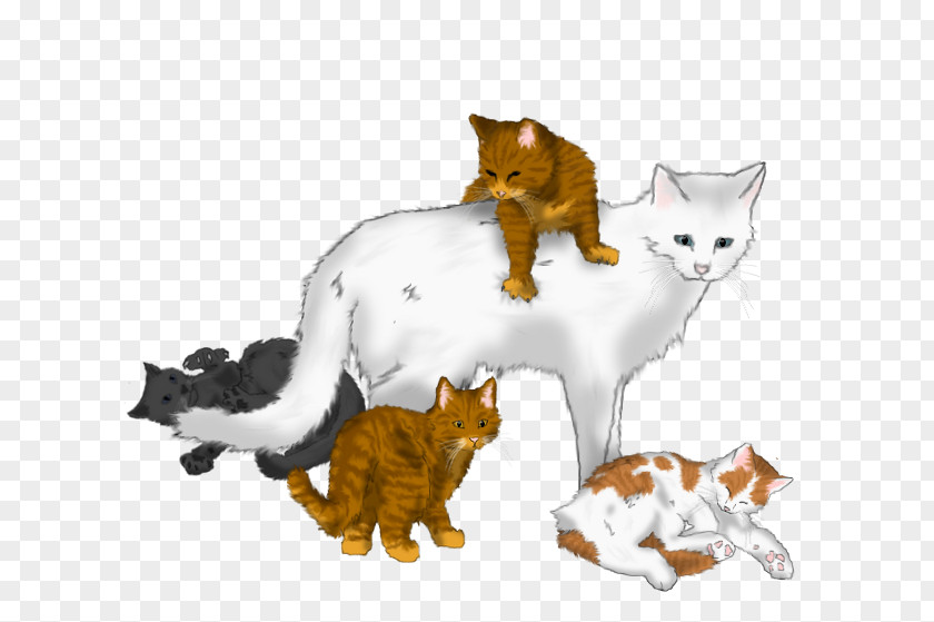 Fir Background Kitten Cat Warriors Brightheart Frostfur PNG