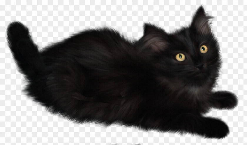 Witch Cat Kitten Clip Art PNG