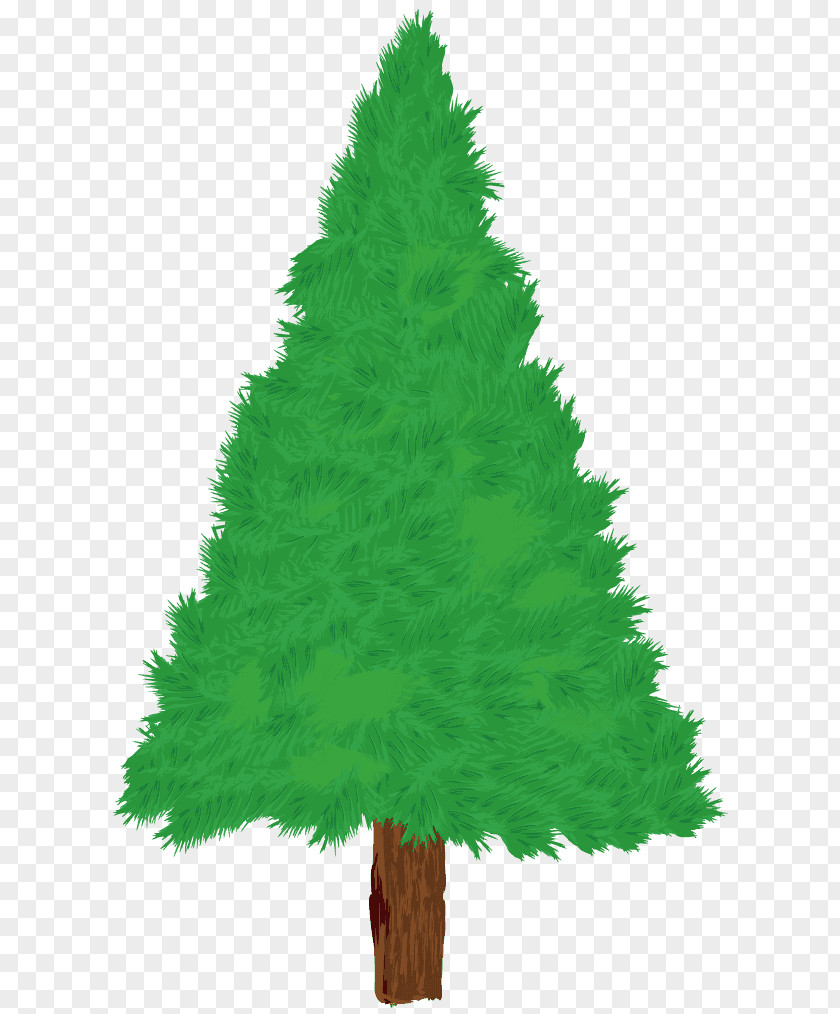 Christmas Tree Spruce Day Illustration O Tannenbaum PNG