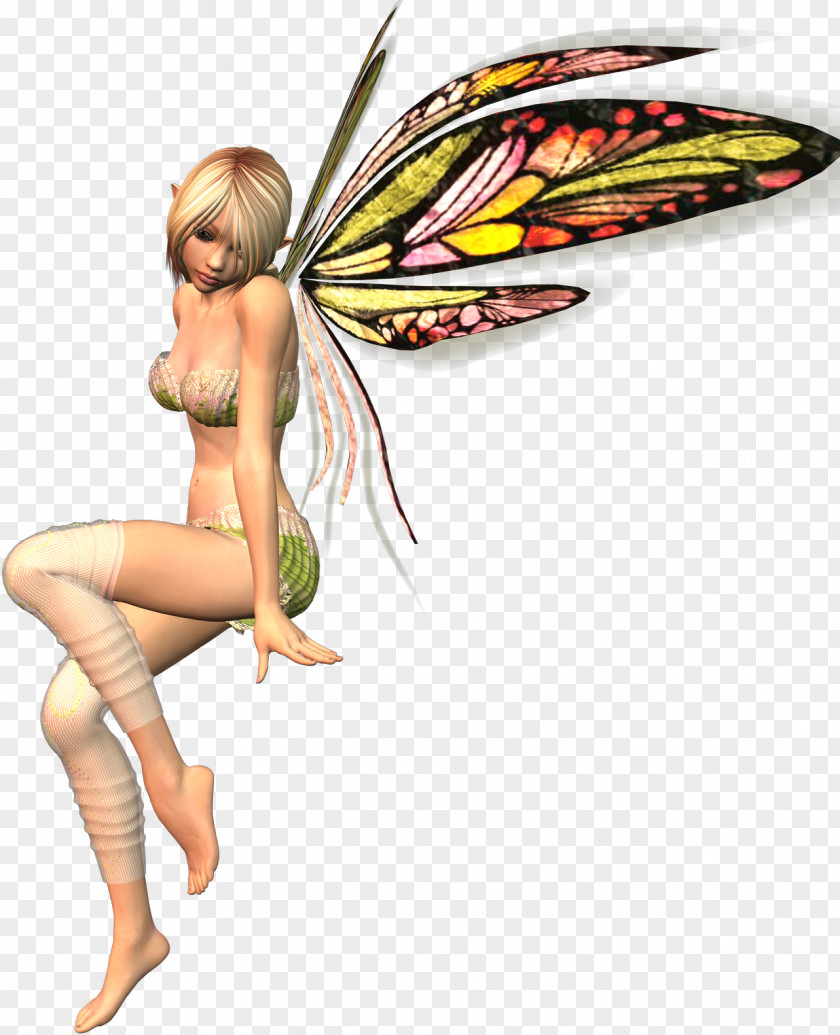 Fairies Animation Butterfly Child Swing PNG