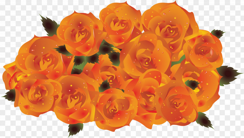 Orange Garden Roses Petal Clip Art PNG