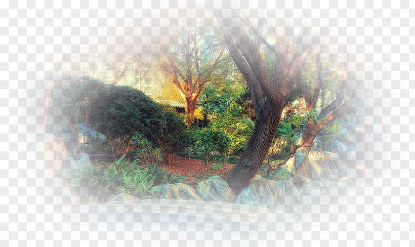 Painting Watercolor Desktop Wallpaper Sunlight PNG