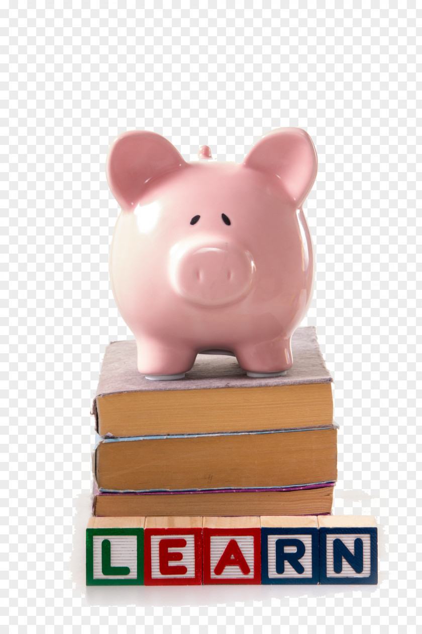 Piggy Bank Savings Money PNG