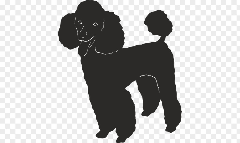 Puppy Dog Breed Companion Poodle Non-sporting Group PNG