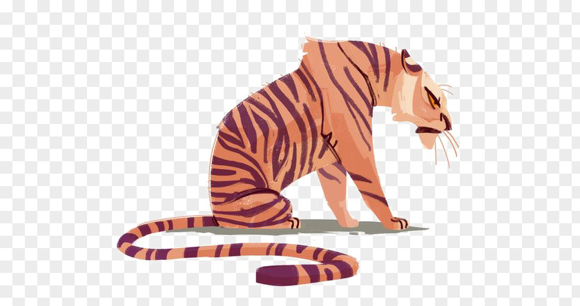 Tiger Cat Kitten Drawing Illustration PNG