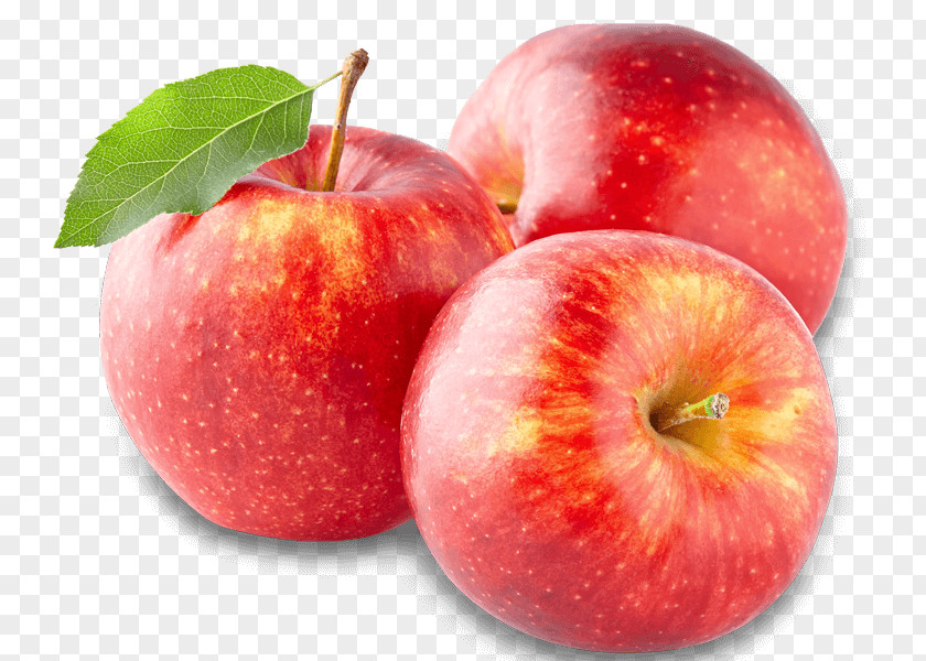 Apple Fruit Organic Food Drying PNG