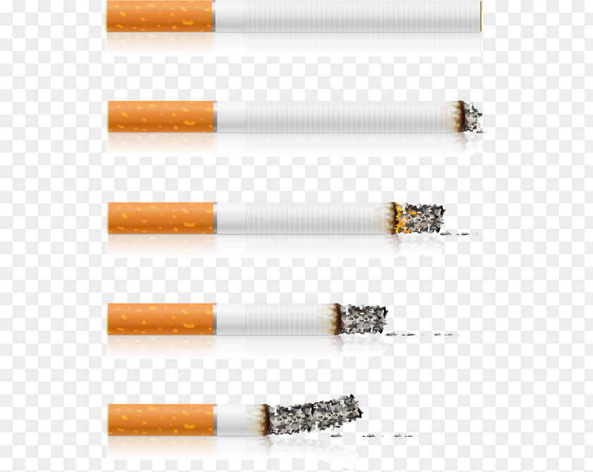Cigarette Vector Material, Stock Photography Smoking Clip Art PNG