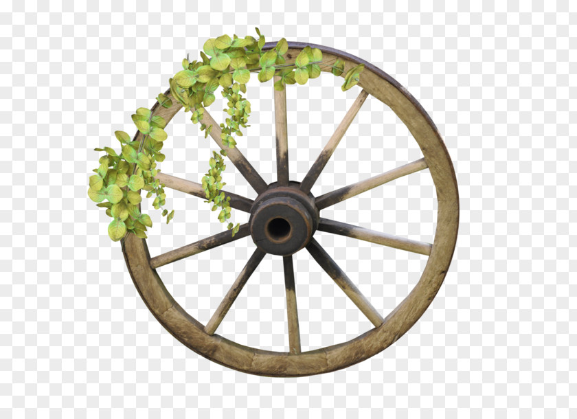 Diligent Wheel Amazon.com Rim Bicycle Wagon PNG