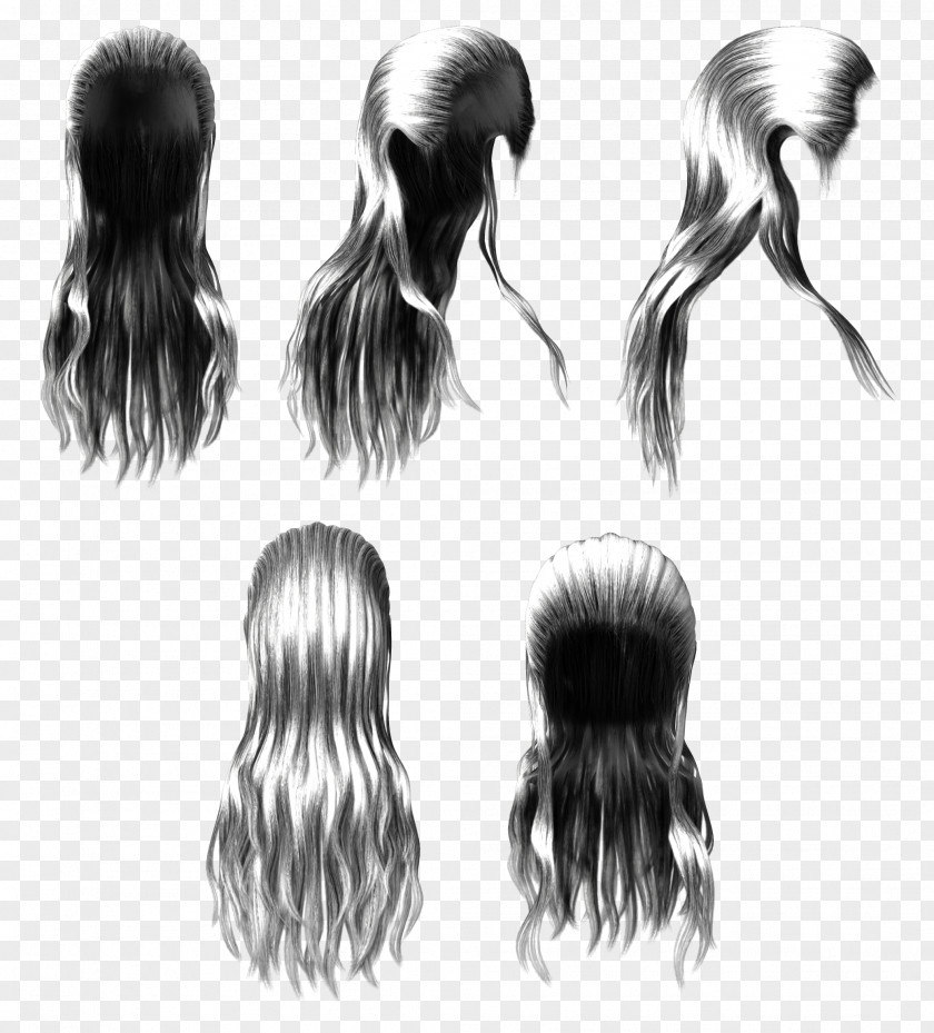 Silver Step Cutting Hair Hairstyle Human Long Artificial Integrations PNG