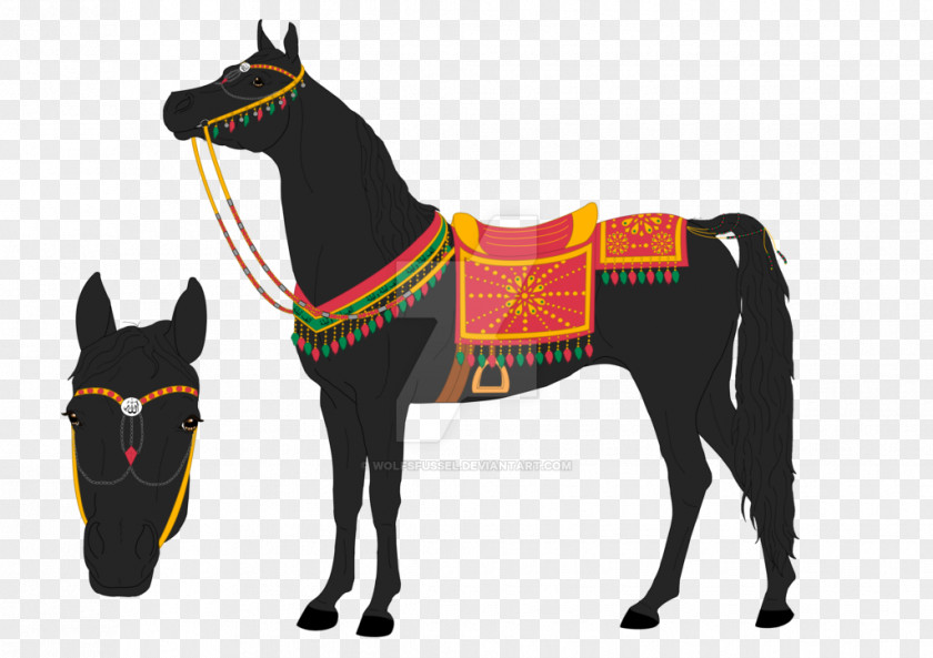 Mustang Halter Pony Stallion Rein PNG