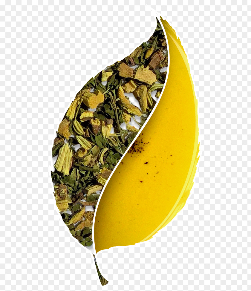 Tea Leaves Green Bancha Hibiscus Herbal PNG