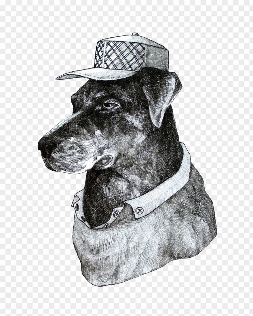 Black And White Hat Puppy Illustration Designer PNG