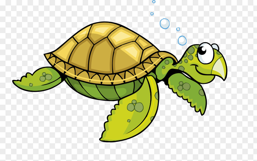 Bubble Turtle Cartoon Sea Tortoise PNG