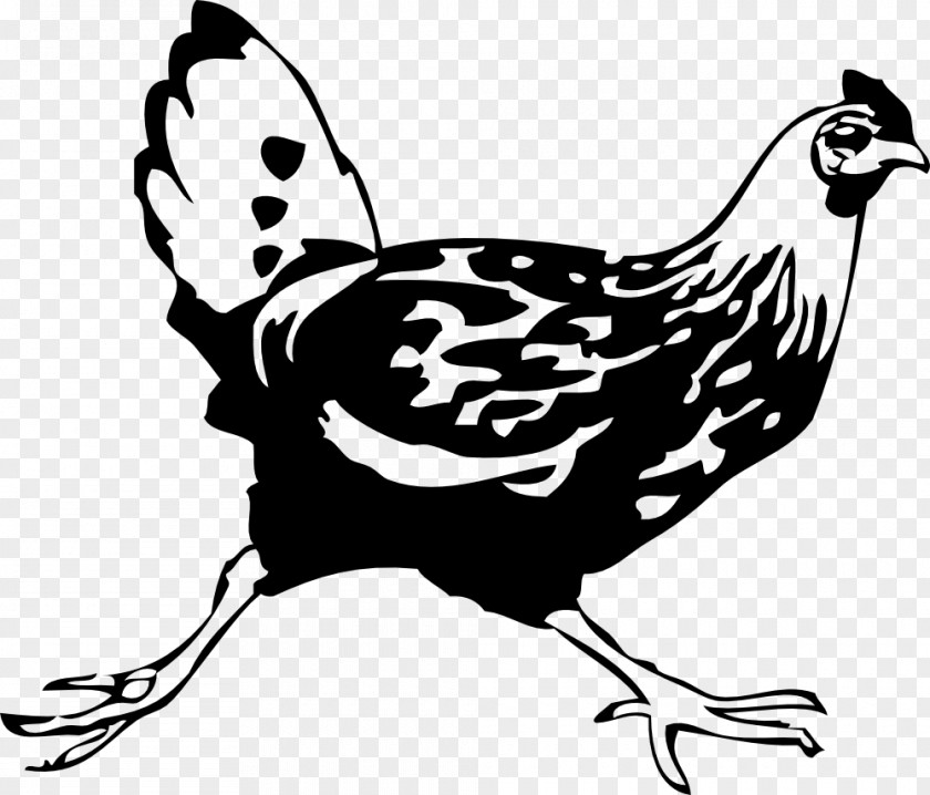 Chicken Clip Art Leghorn Cochin Silkie Rooster PNG