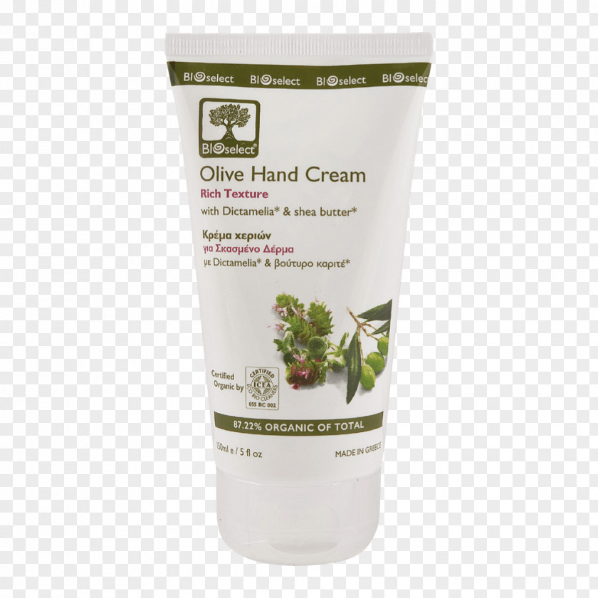 Olive Oil Lotion Cream Cosmetics PNG