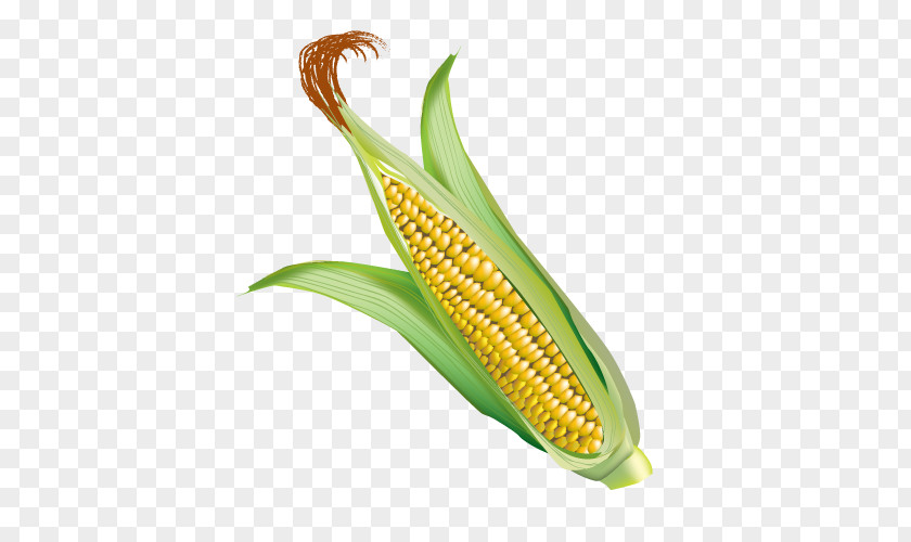 Corn On The Cob Maize Web Browser PNG
