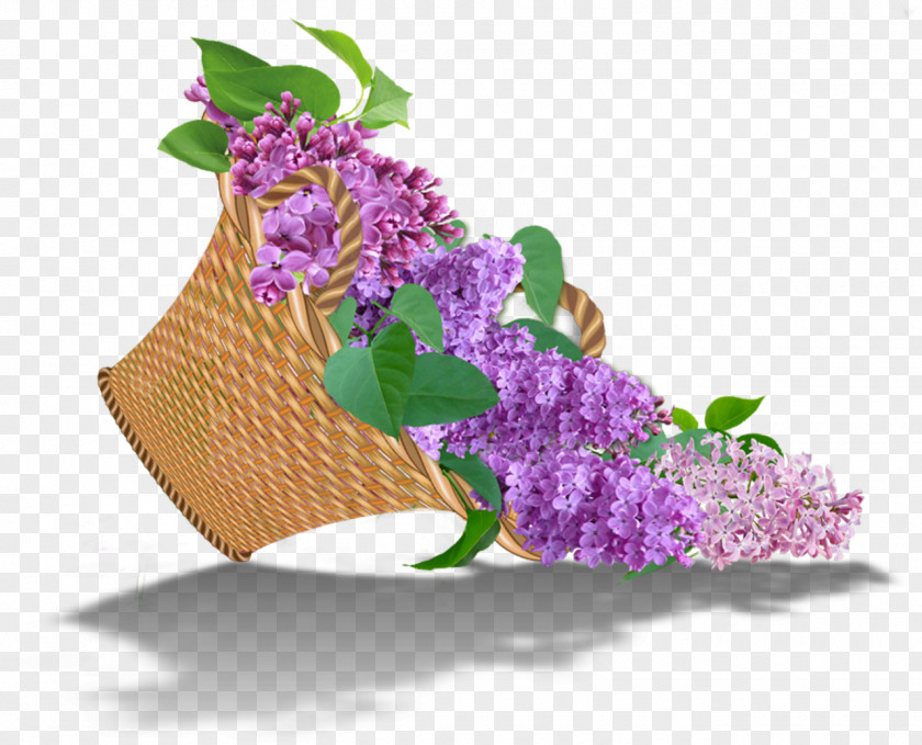 Flower Cut Flowers Floral Design Floristry PNG