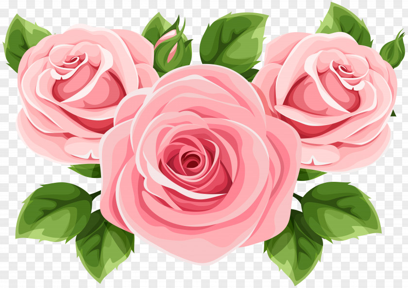 Garden Roses Clip Art Tattoo PNG