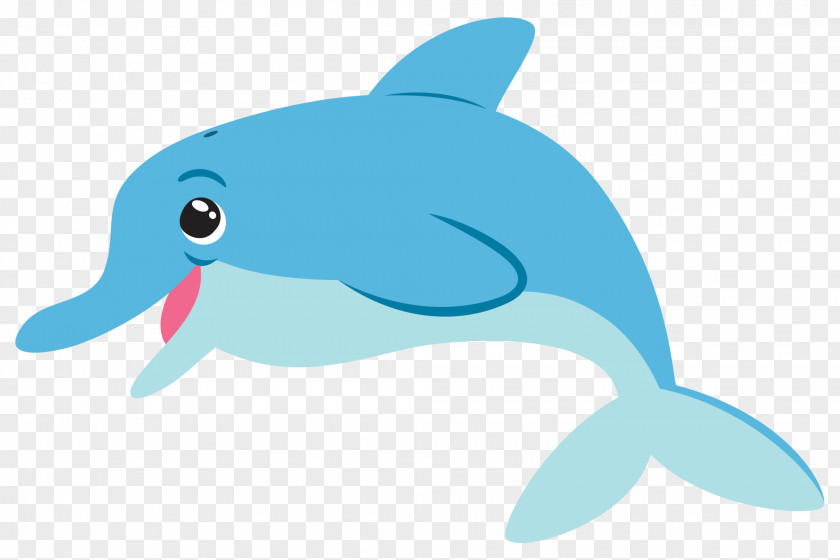 Dolphin Picture Common Bottlenose Tucuxi PNG