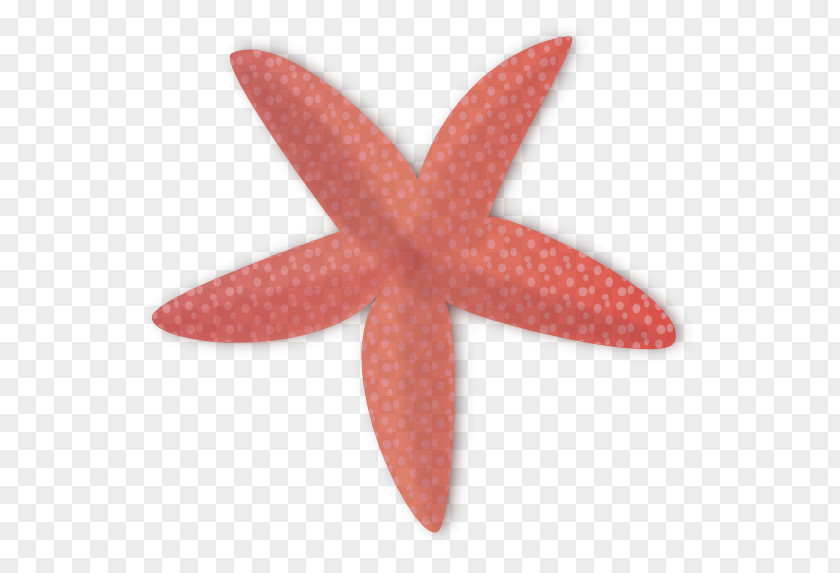 Marine Invertebrates Starfish Pink PNG