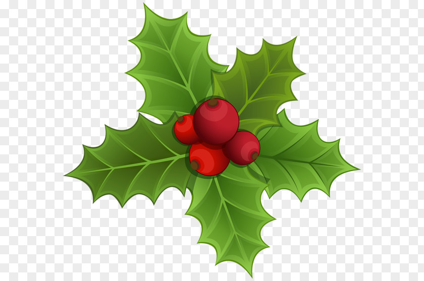 Mistletoe IPhone 7 Plus Christmas Clip Art PNG