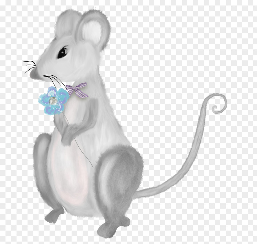 Mouse Marry Computer Rat Gerbil PNG