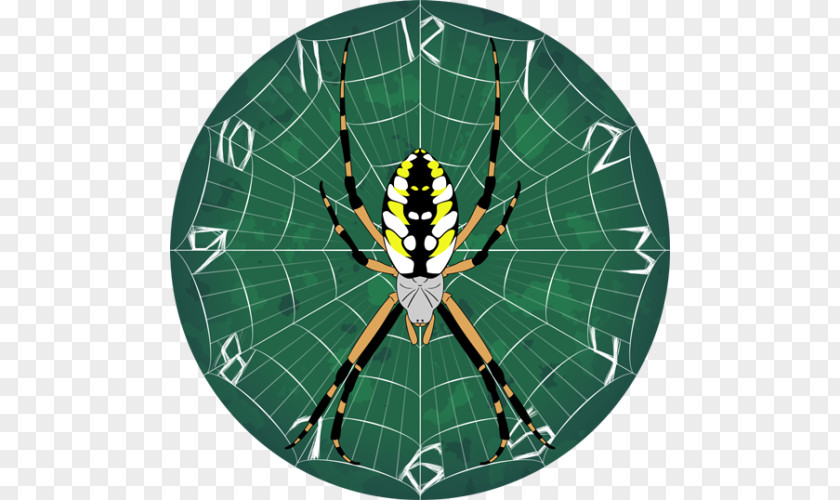 Spider Web Yellow Garden Jumping Drawing PNG