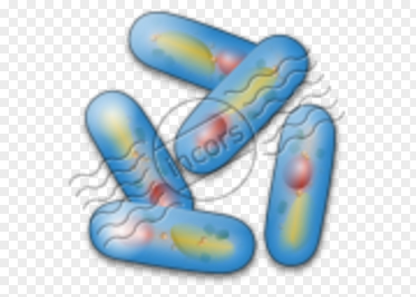 Bacteria Clip Art PNG