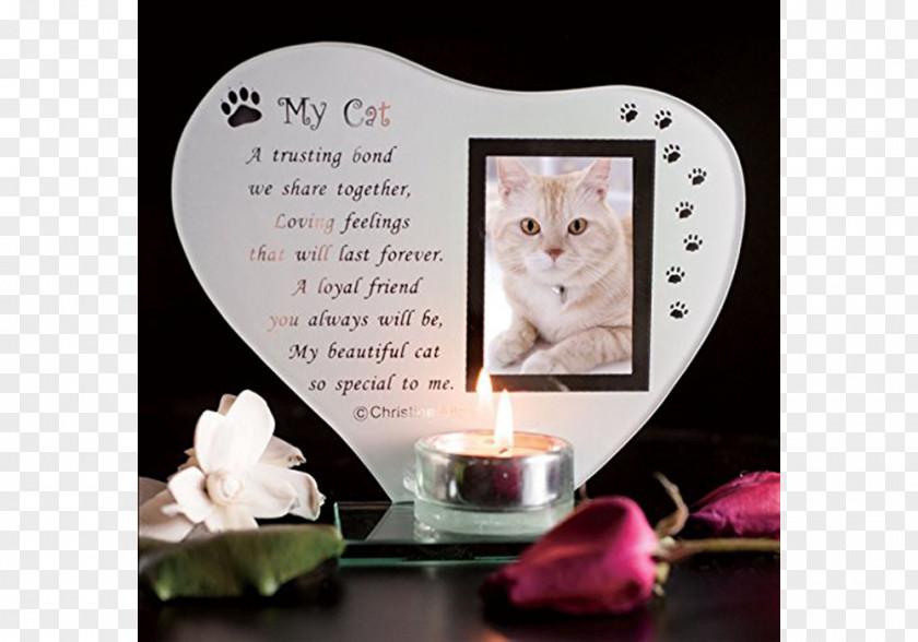 Cat Picture Frames Glass Commemorative Plaque Pet PNG