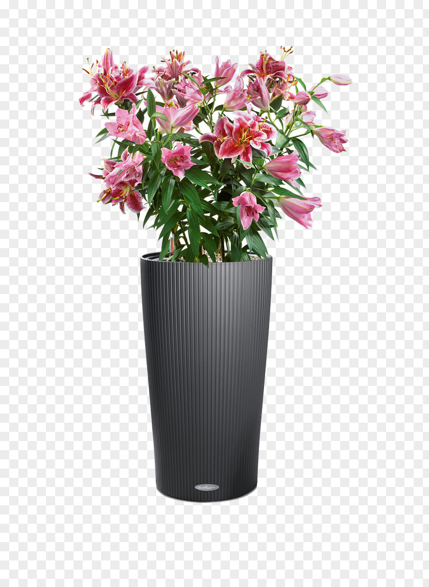 Vase Flowerpot Cottage Little Owl Houseplant Cachepot PNG