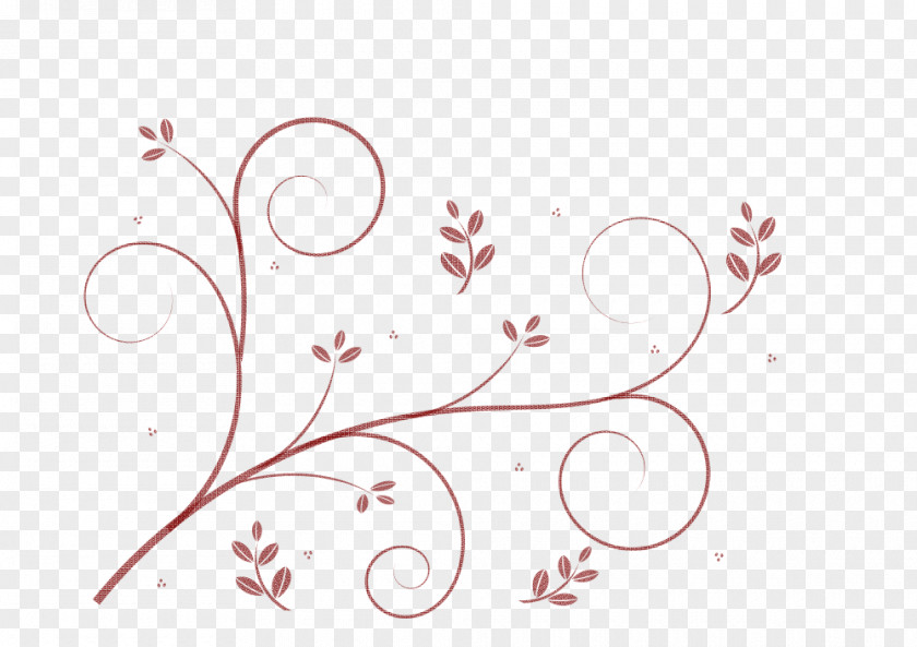 Winding Vector Flower Vine Drawing Clip Art PNG