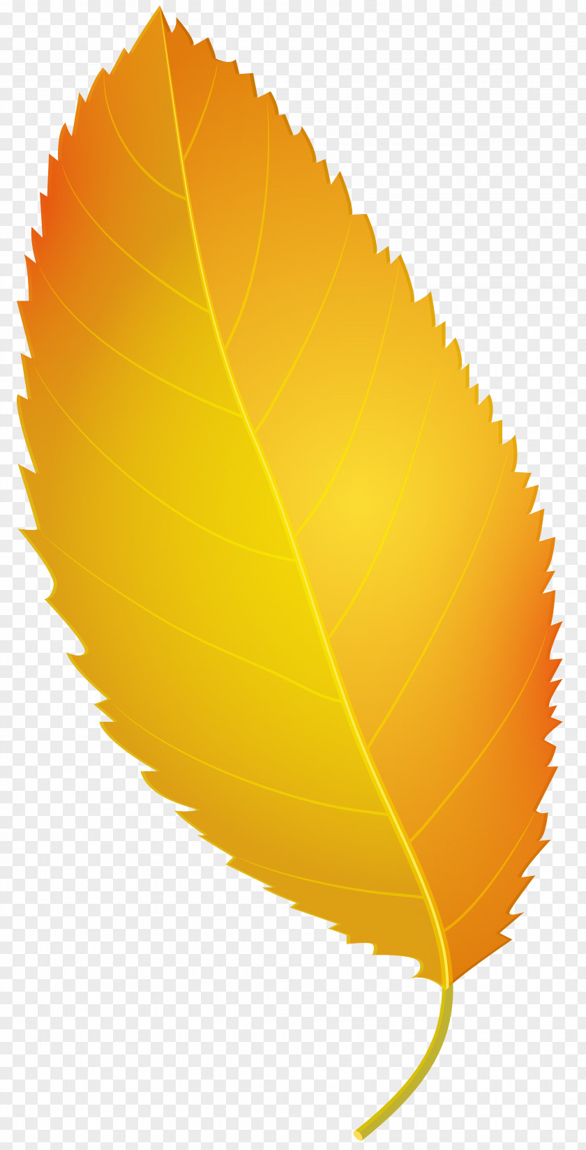 YELLOW Maple Leaf Yellow Clip Art PNG