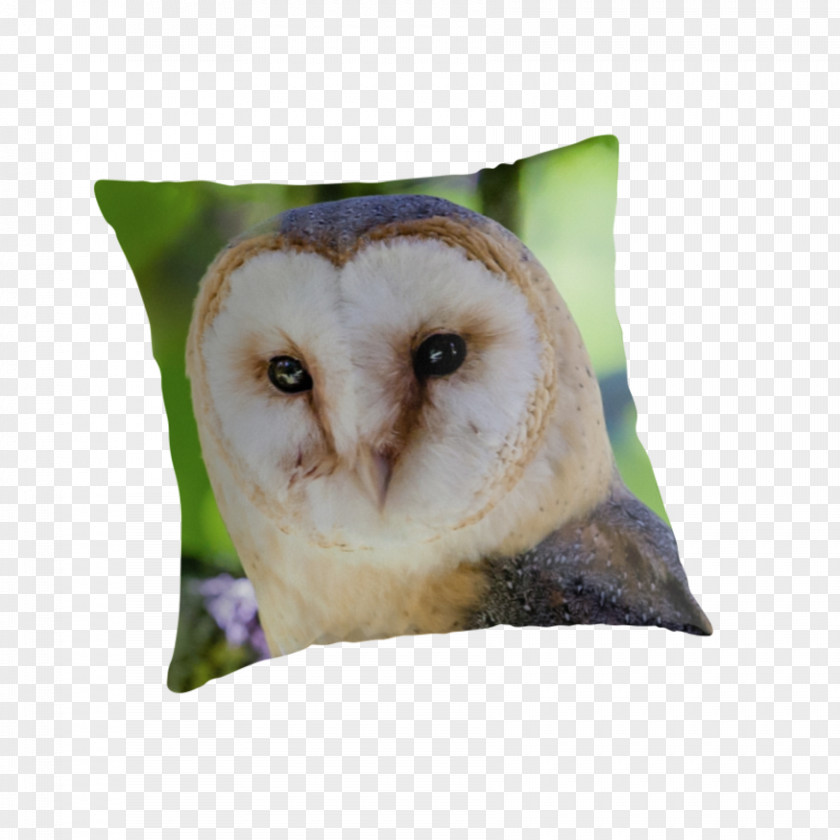 Barn Owl Throw Pillows Cushion Beak PNG