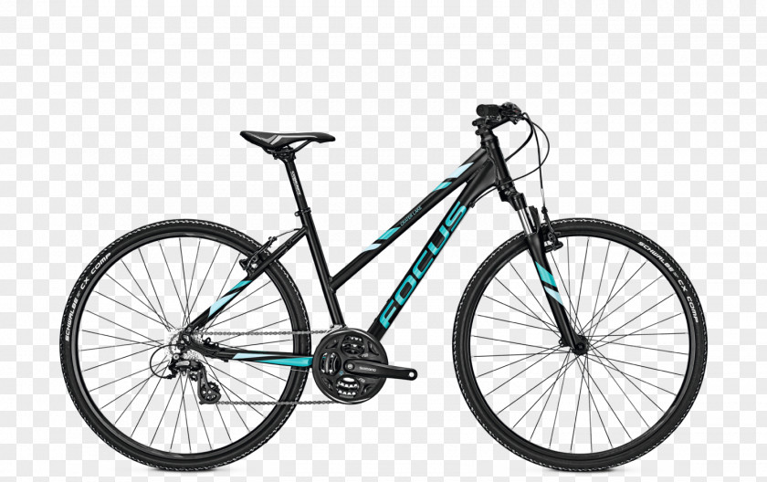 Bicycle City Hybrid Trek Corporation Cycling PNG