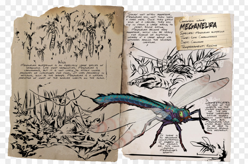 Dragonfly ARK: Survival Evolved Meganeura Compsognathus Insect PNG