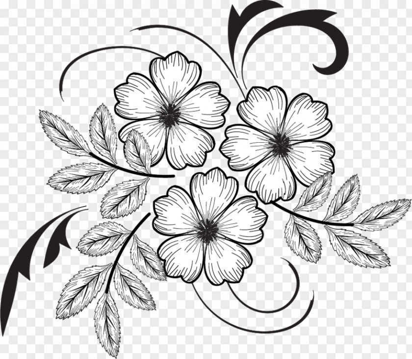 Elisiblackandwhite Floral Design Drawing Pattern PNG