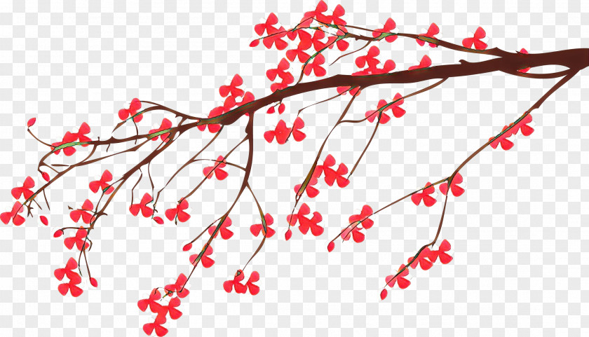Hawthorn Chinese Branch Red Twig Tree Plant PNG