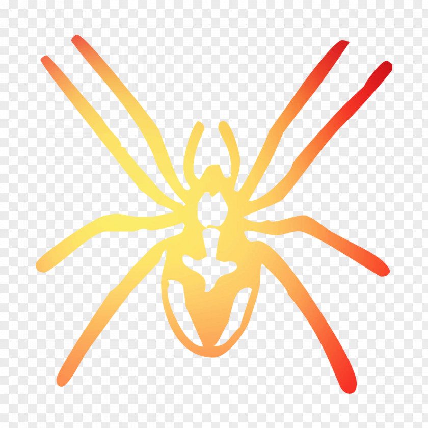 Insect Yellow Line Clip Art Pollinator PNG