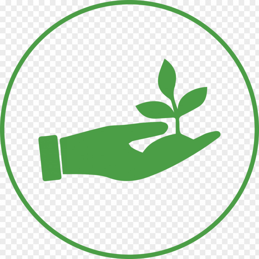 Reach Out Make Disciples Leaf Clip Art The Tennery Organization Plant Stem PNG