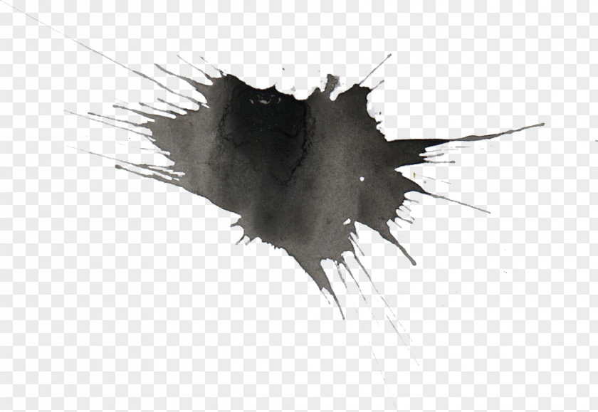 Splatter Watercolor Painting Transparent Black And White PNG