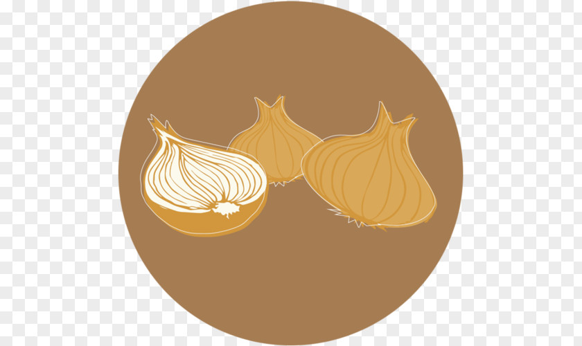 Squarespace Organic Product Sweet Onion Food PNG